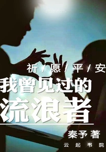 The Wanderer I Once Saw