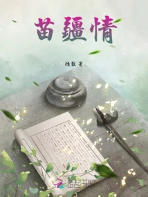 Miao Border Situation