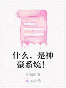 What, It's the Shenhao System!