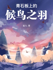 Feathers of Migratory Birds on Bluestone