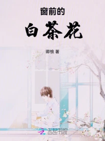 White Camellia in Front of the Window