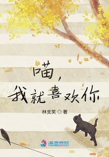 Meow, I Just Like You