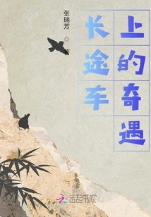 Adventures on a Long-distance Car