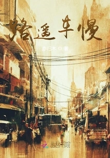 The Road is Far Away and the Car is Slow