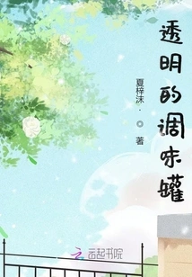 Transparent Seasoning Jar