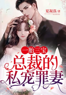 One Child, Three Treasures: the Ceo's Private Favorite Wife