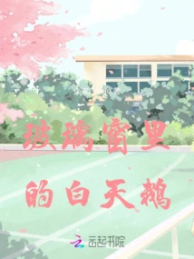 White Swan in the Glass Window