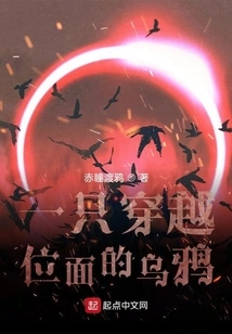 A Crow That Travels Across Planes