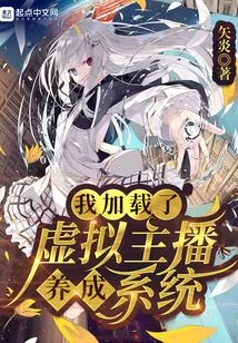 I Loaded the Virtual Anchor Development System