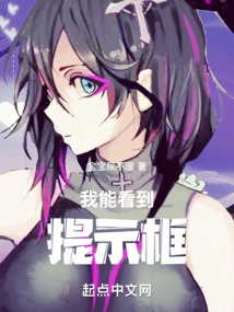 I Can See the Prompt Box