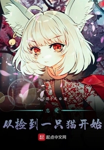 Falling in Love Starts with Picking up a Cat