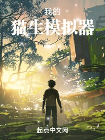 My Cat Life Simulator