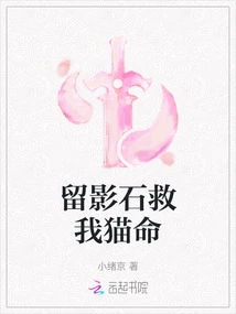 Photo Stone Saved My Cat's Life