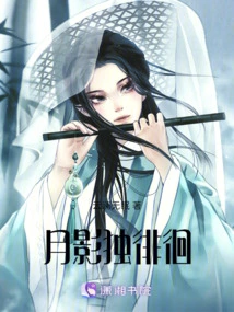 The Moon Shadow Wanders Alone