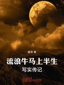 A Realistic Biography of Stray Niu Ma's Half-life