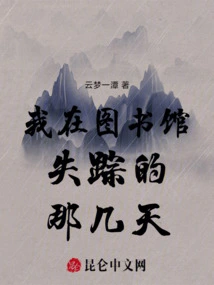 The Days I Disappeared in the Library