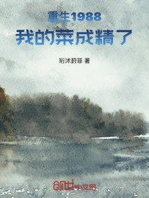 Rebirth 1988: My Dishes Are Perfect