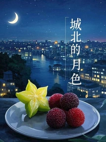 Moonlight in the North of the City