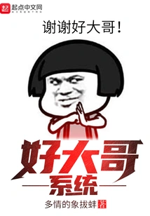 Good Big Brother System