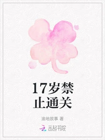 17 Years Old Are Prohibited from Passing the Customs