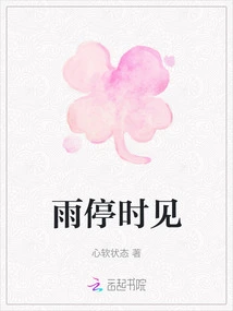 See You When the Rain Stops