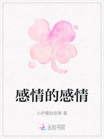 Feelings of Feelings