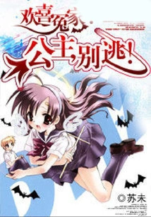 Happy Enemy: Princess, Don't Run Away!