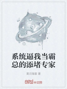 The System Forces Me to Be the Boss's Troubleshooting Expert