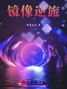 Mirror Reverse Journey