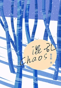 Chaos