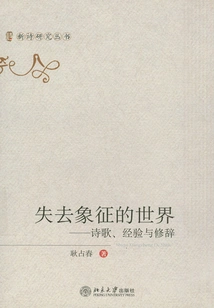 A World Lost in Symbols: Poetry, Experience and Rhetoric