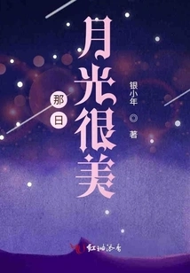 The Sun and Moonlight Were Beautiful That Day