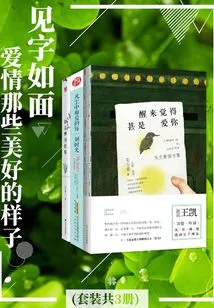 See the Words as They Appear: the Beautiful Looks of Love (Set of 3 Volumes in Total)