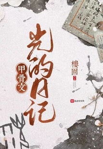 Oracle: Diary of Light