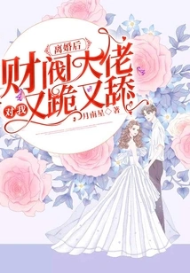 After the Divorce, the Chaebol Boss Knelt and Licked Me