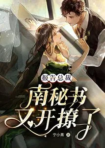 Report to the Ceo: Secretary Nan is Flirting Again