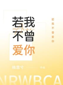 If I Never Loved You