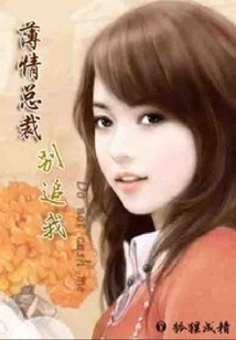 Heartless Ceo, Don't Chase Me