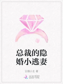 The Ceo's Hidden Marriage and His Fugitive Wife