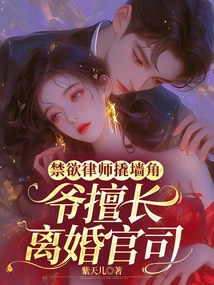 Abstinence Lawyer is Good at Divorce Cases