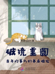 Reunion after a Broken Mirror: We All Had Our Difficulties in What Happened Back Then