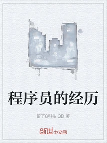 Programmer's Experience