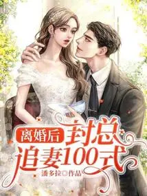 After Divorce: 100 Ways for Mr. Feng to Chase His Wife