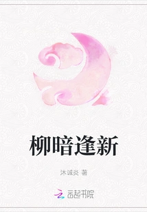 Willow Dark Meets New