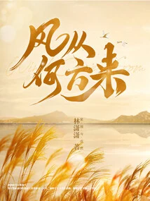 Where Does the Wind Come From