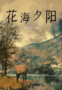 Sunset over Sea of ​​flowers