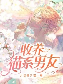 Adopting a Cat is Your Boyfriend