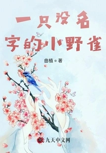 A Little Wild Bird with No Name