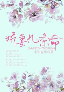 The Nine Lives of My Beloved Wife