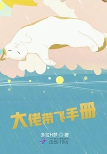 Big Boss Flying Manual